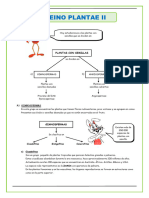 El Reino Plantae Gimnospermas Para Seguno de Secundaria (1)