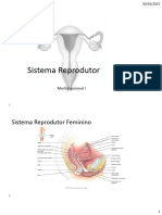 Sistema Reprodutor  Feminino e Masculino word