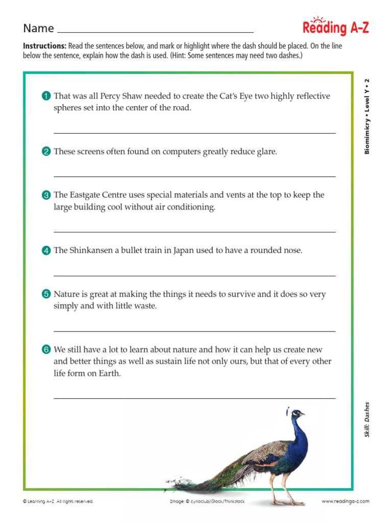 Biomimicry Worksheet | PDF | Nature | Natural Environment