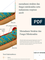 Memahami-Struktur-dan-Fungsi-Mitokondria
