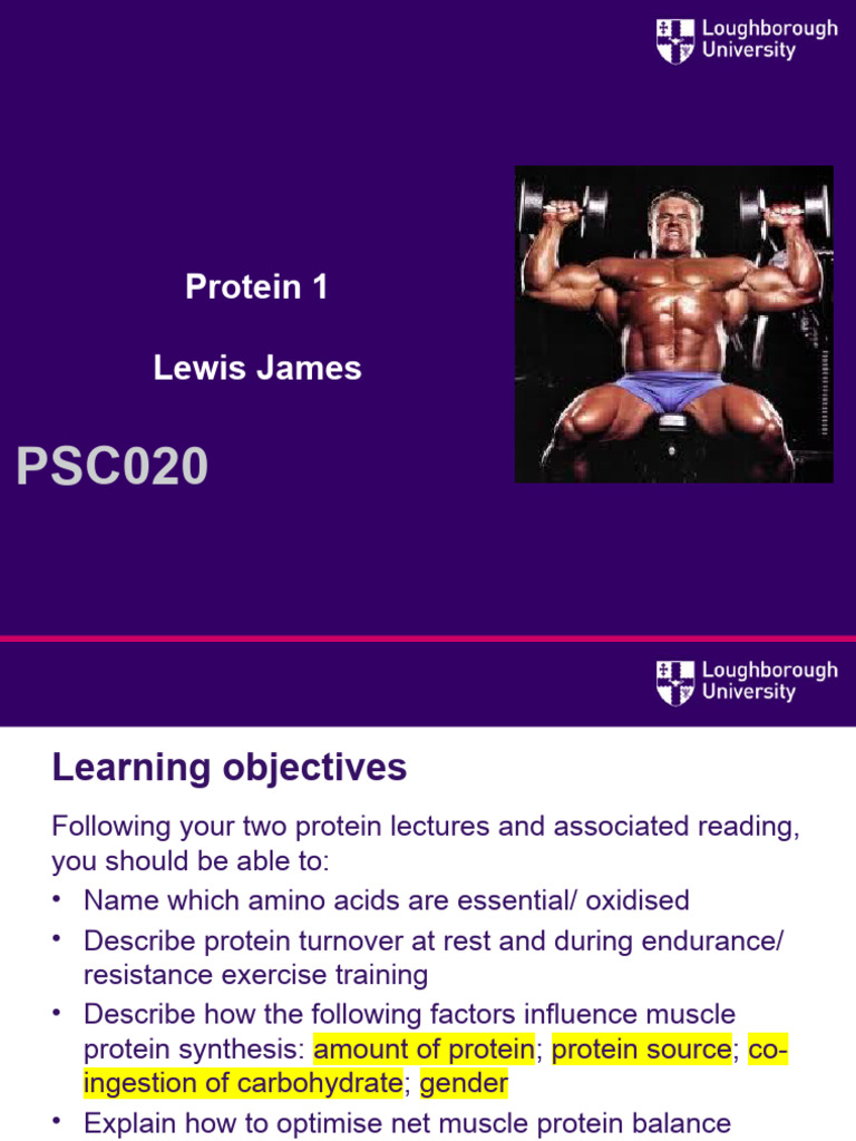 Protein Synthesis and Muscle Balance Guide | PDF | Proteins | Leucine