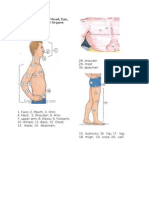 Human Body: Body, Head, Eye, Hand, Foot Internal Organs Body