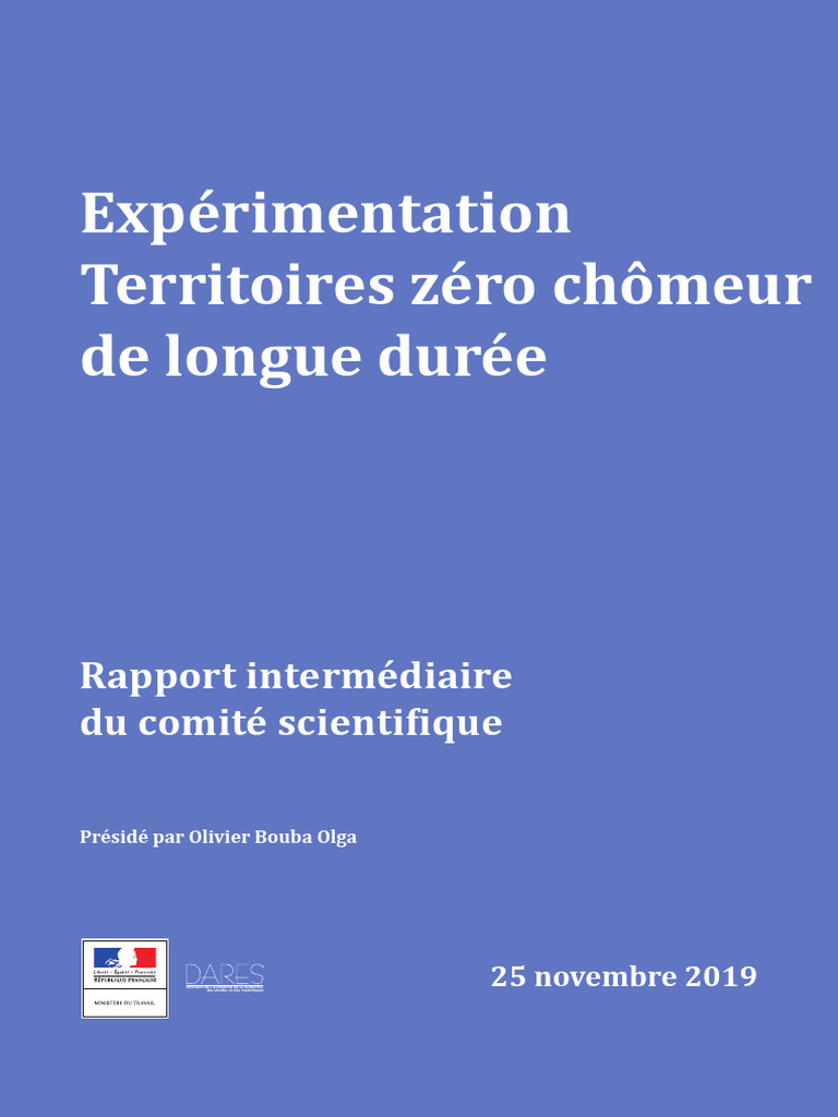 Rapport intermédiaire sur l'expérimentation Zéro Chômeur | PDF ...