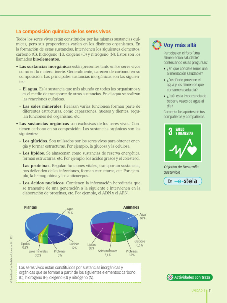 Composición química de los seres vivos | PDF | Organismos | Carbohidratos