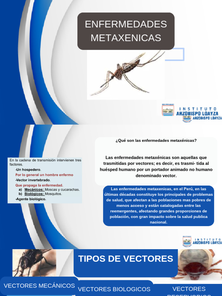 Enfermedades Metaxenicas 1 | PDF | Mosquito | Aedes aegypti