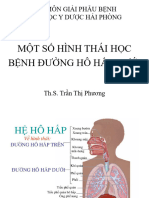 GPB hình thái bệnh đường hô hấp dưới