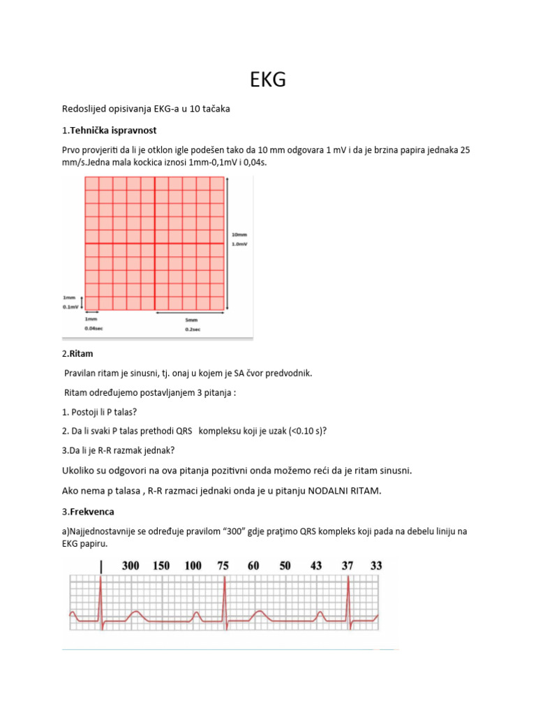 Redoslijed Opisivanja EKG-a U 10 Tačaka 1.tehnička Ispravnost | PDF