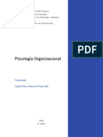 Psicologia Organizacional