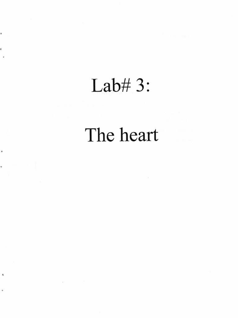 Anatomy And Physiology Ii Lab 3 The Heart Pdf
