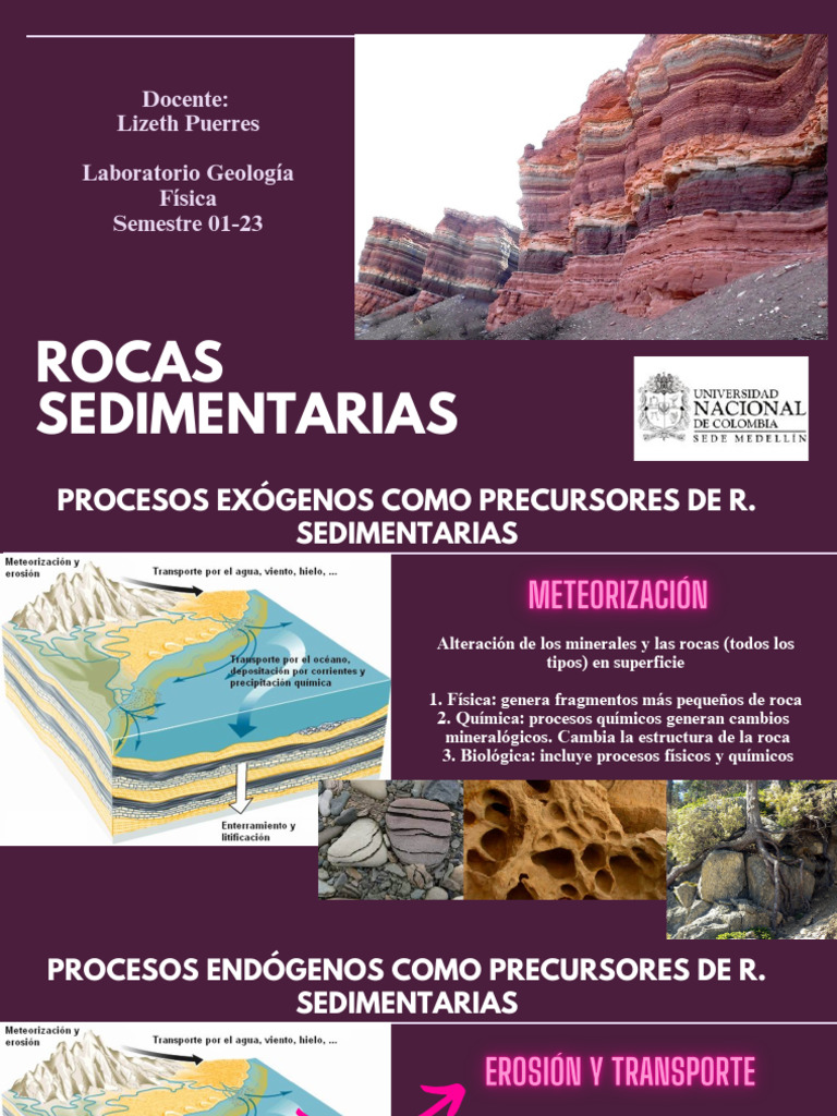 Clase Rocas Sedimentarias | PDF | Roca sedimentaria | Roca clástica