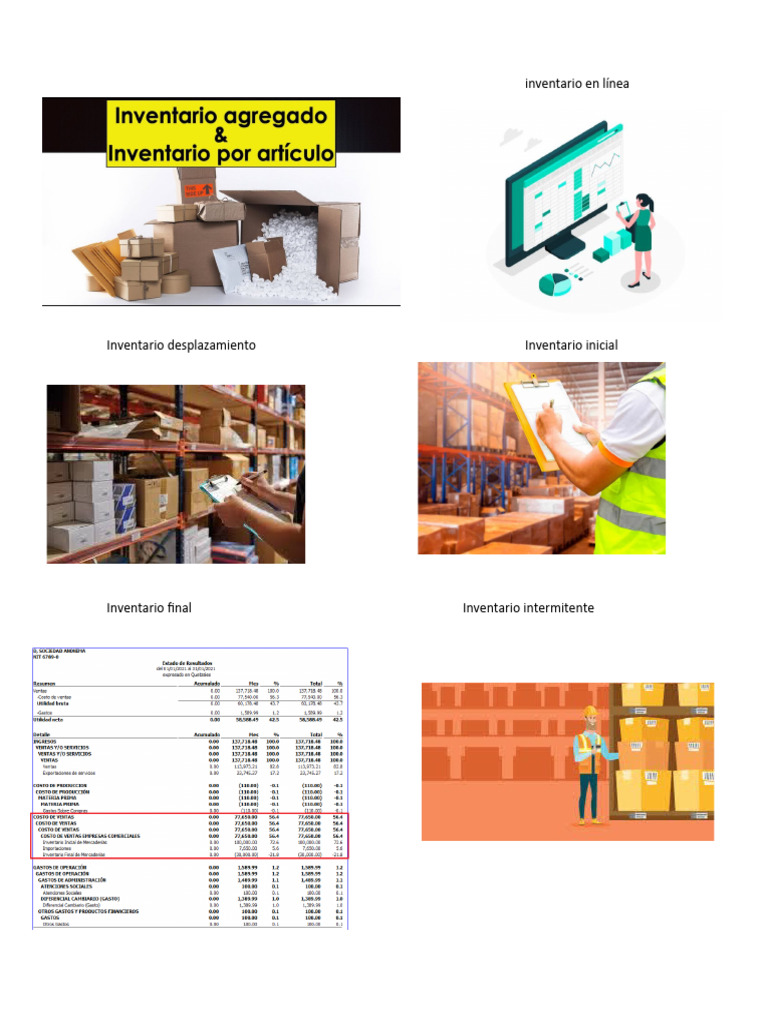 Tipos de Inventario en Línea | PDF