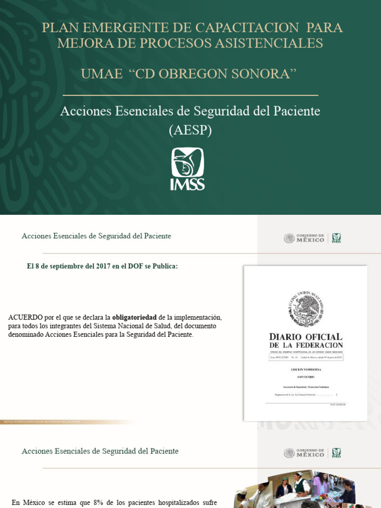 Acciones Esenciales de Seguridad Del Paciente | PDF | Seguridad del ...