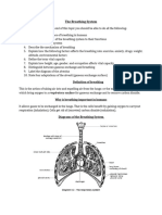 Respiratory System