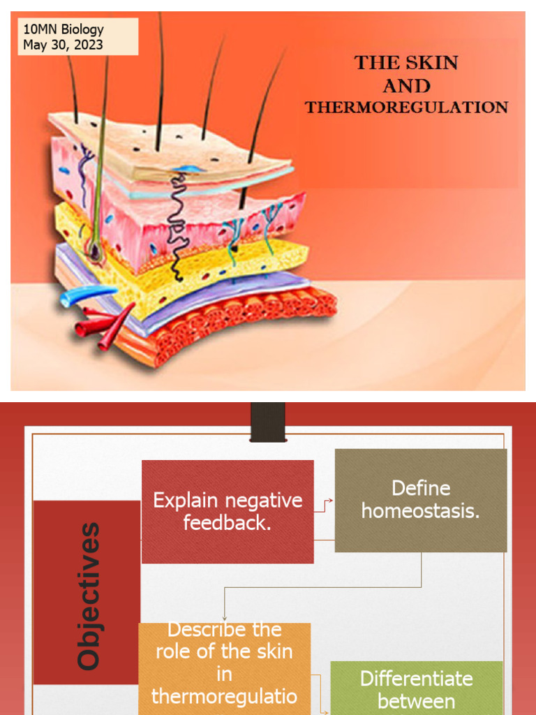 Thermo Regulation | PDF