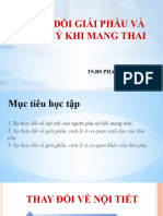 THAY Ä Á I GIáº I PHáº U VÃ SINH LÃ KHI MANG THAI