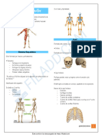 1 Aparato Locomotor