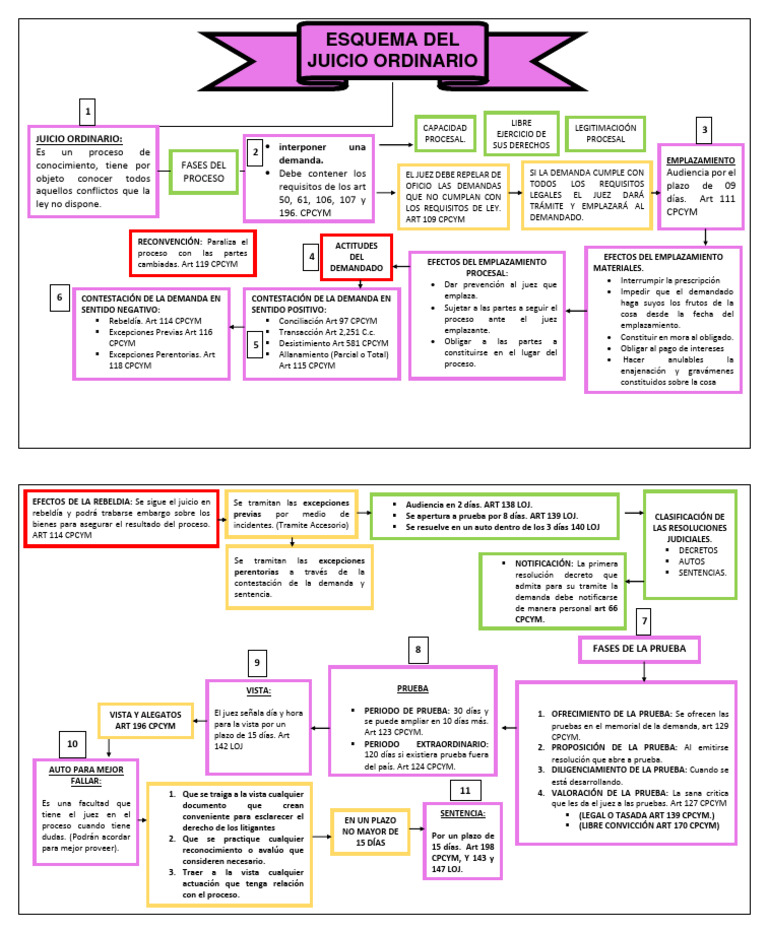 esquema-juicio-ordinario-pdf-demanda-judicial-ley-procesal