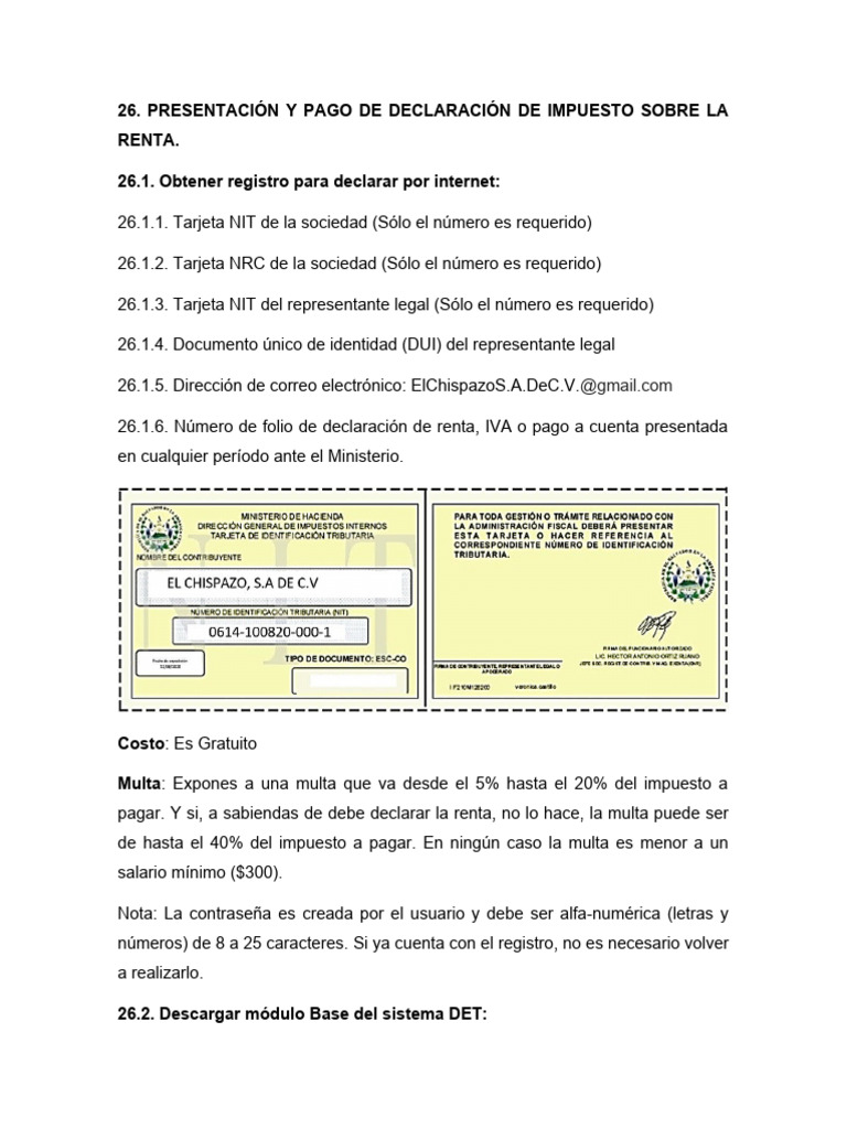 Guía para Declaración de Impuestos y Auditoría | PDF | Impuestos | Contador