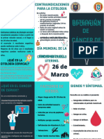 PDF Triptico Cancer de Cervix Compress