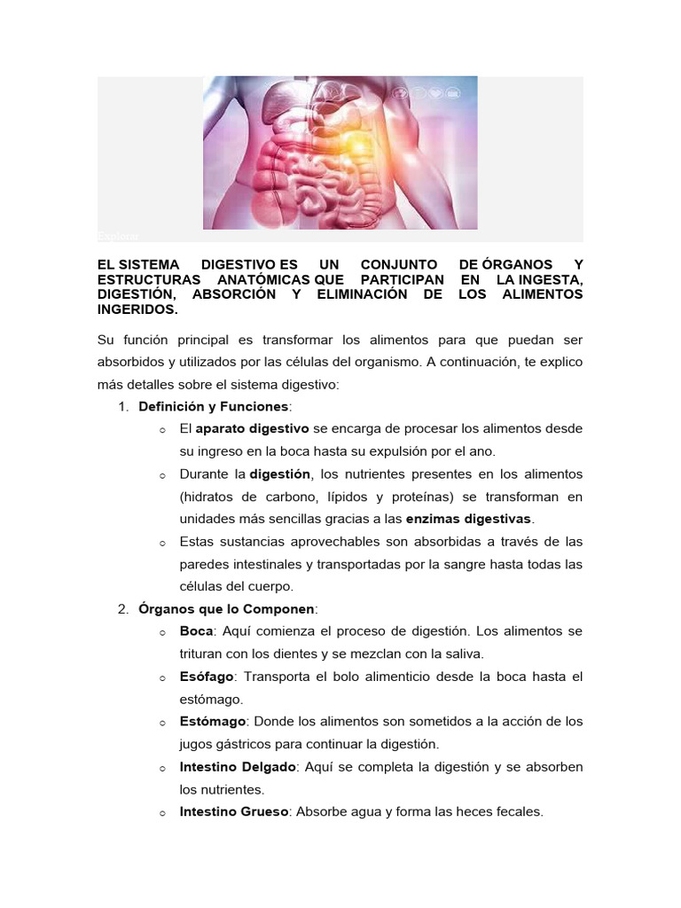 Sistema Digestivo Descargar Gratis Pdf Digestión Sistema