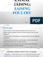Raising Poultry Animals