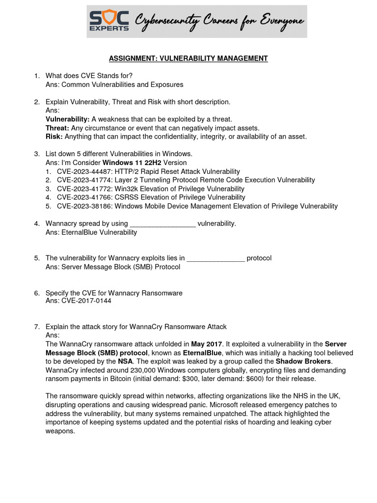 Vulnerability Management Overview and Examples | PDF | Ransomware ...