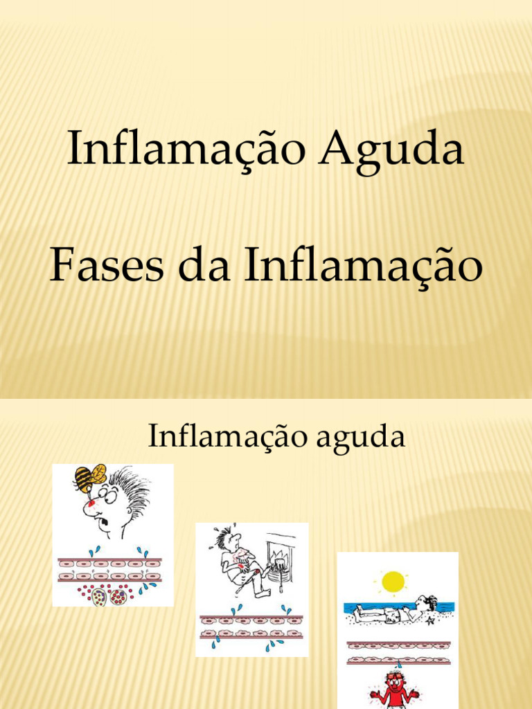 09 - fases da inflamação e inflamação aguda | PDF | Inflamação | Endotélio