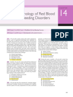 red blood cell reviewer mcq