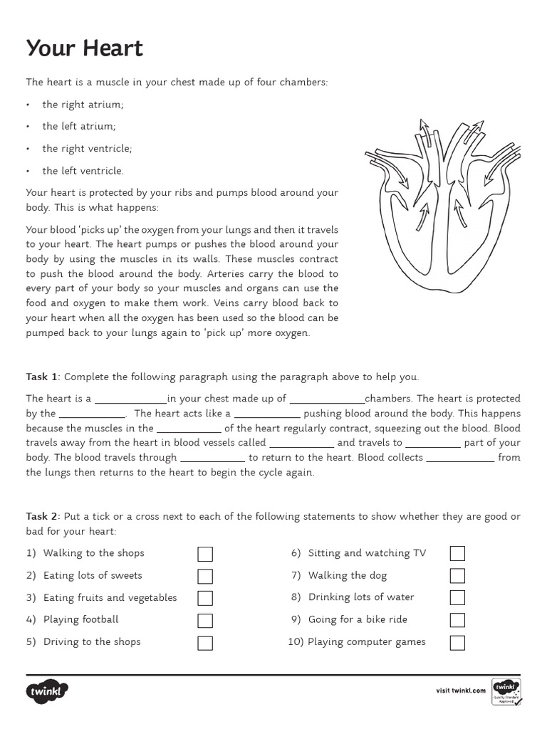 Your Heart Reading | PDF