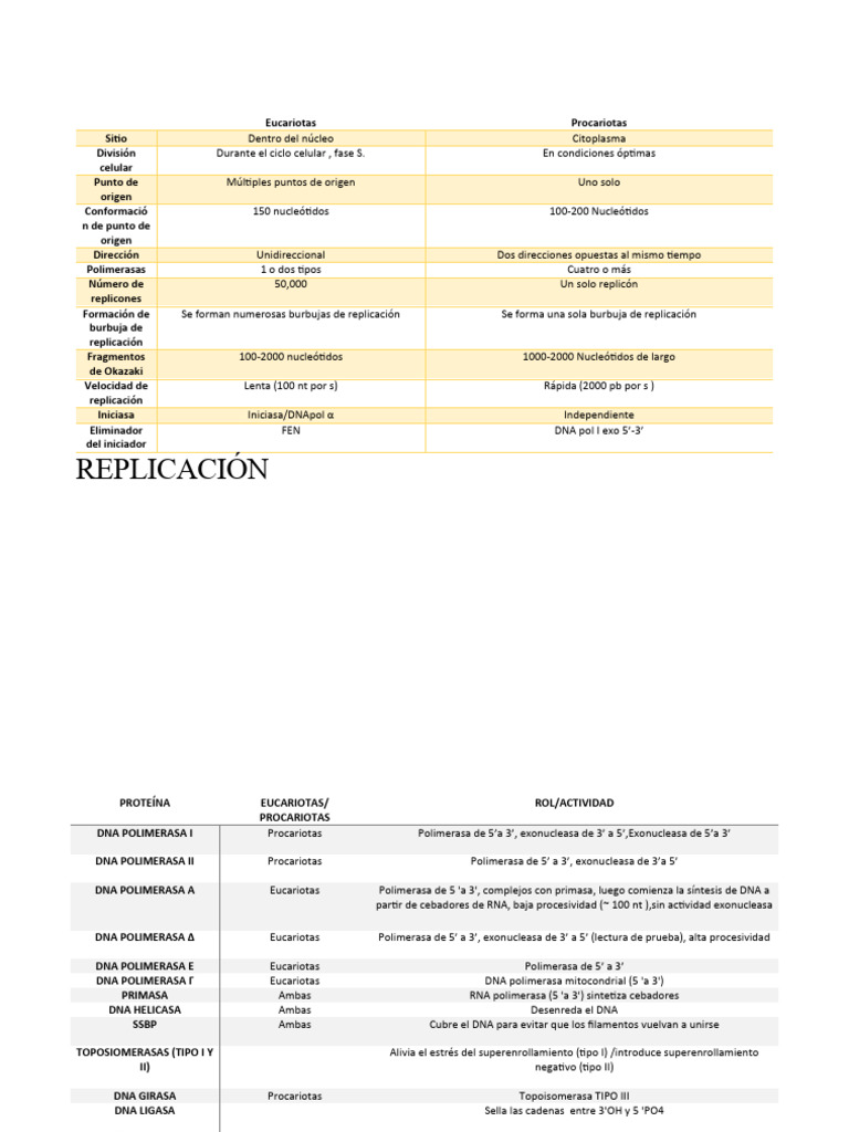 Replicación del ADN en Eucariotas | PDF | Replicación De Adn | Adn
