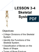 LESSON 3 4 Skeletal System PDF