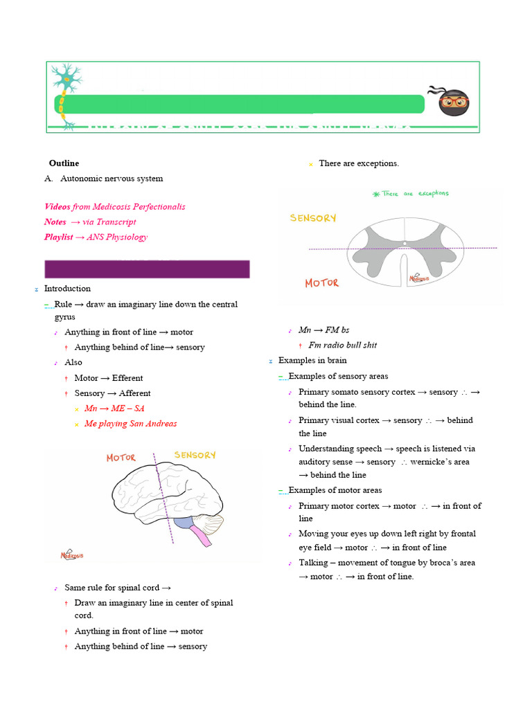 Autonomic Nervous System Overview | PDF | Autonomic Nervous System ...