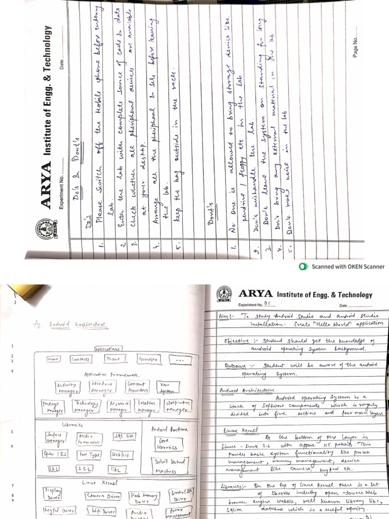 Mad Lab Record | PDF