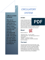 CIRCULATORY SYSTEM