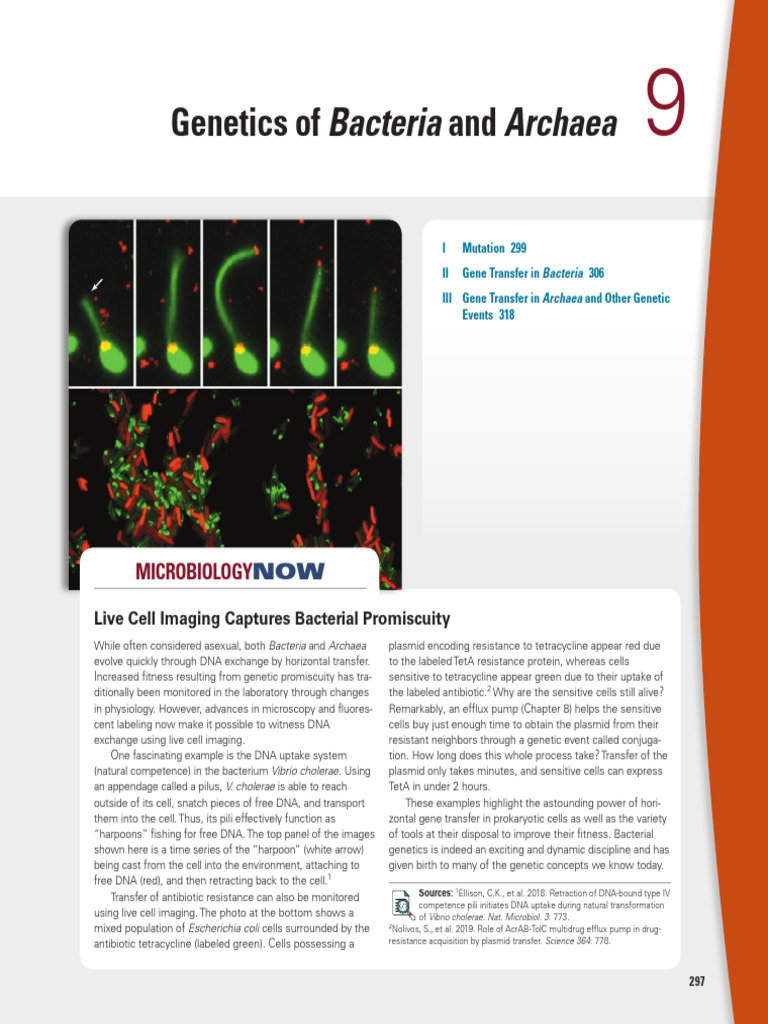 Microbial Gene Exchange Insights | PDF | Genetic Code | Mutation