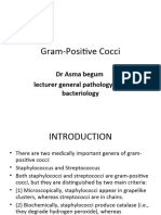 Gram-Positive Cocci 2