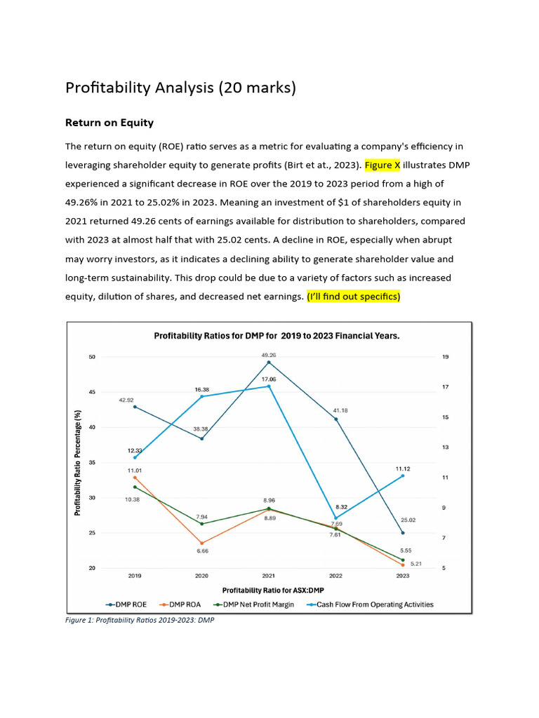 DMP Profitability Ratios 2019-2023 | PDF | Return On Equity | Equity ...