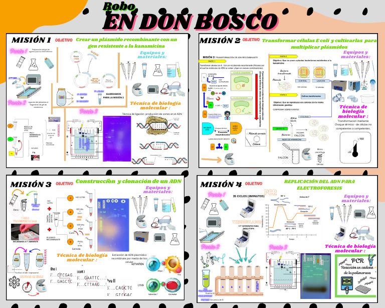 23-24 RETO 5 POSTER Sebas, Jacky, Mireia, Gorka | PDF | Plásmido ...