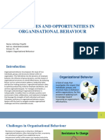 Challenges and Opportunities in Organisational Behaviour 044