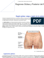 07. Regiones Glútea y Posterior del Muslo _ Enfermería