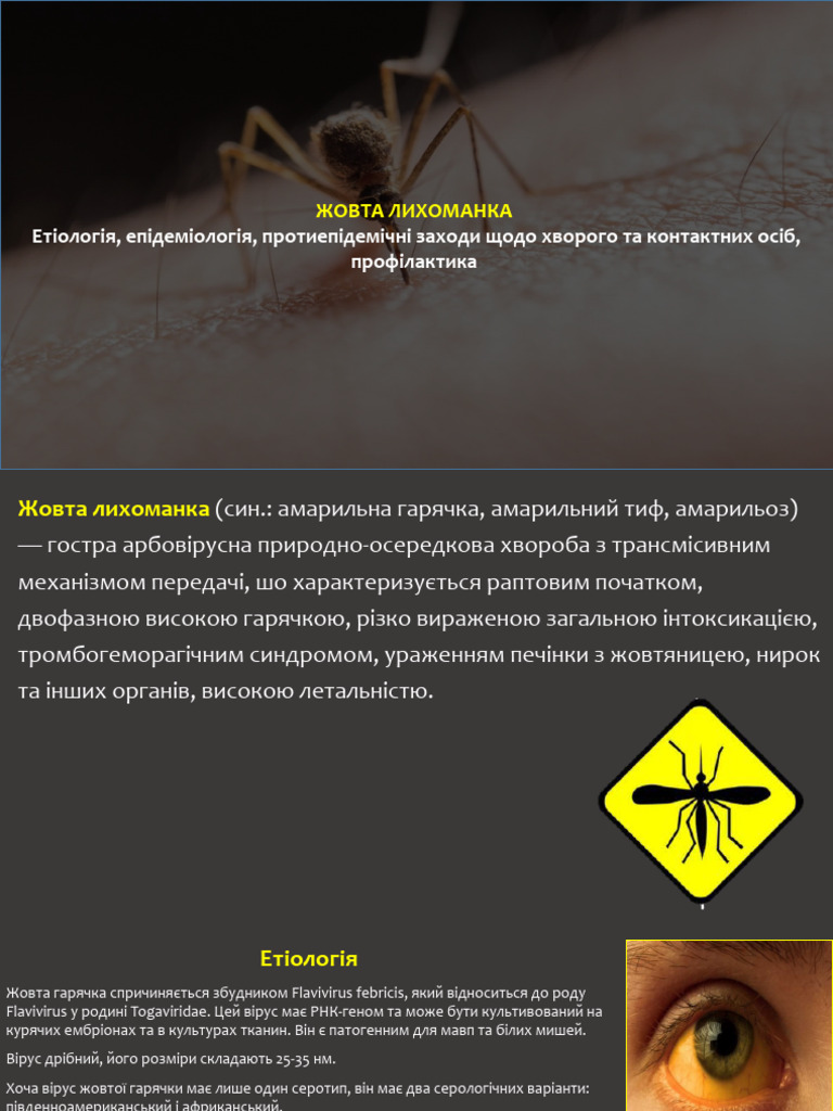 Жовта гарячка | PDF