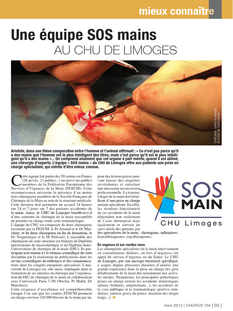 Équipe SOS Mains au CHU de Limoges | PDF | Chirurgie | Accueil et ...