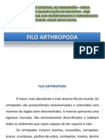 Filo Arthropoda