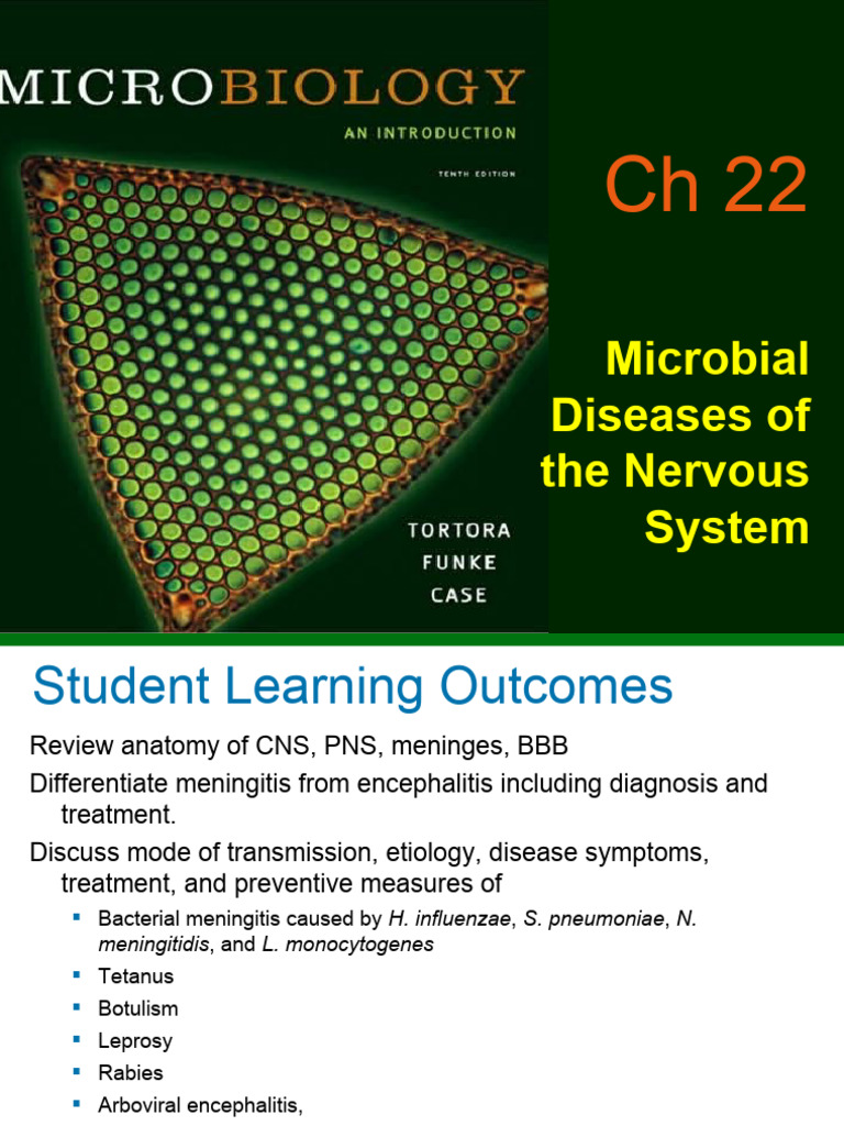 Microbial Diseases of Nervous System | PDF | Meningitis | Infection