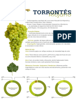 torrontes