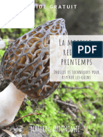 DS Morilles