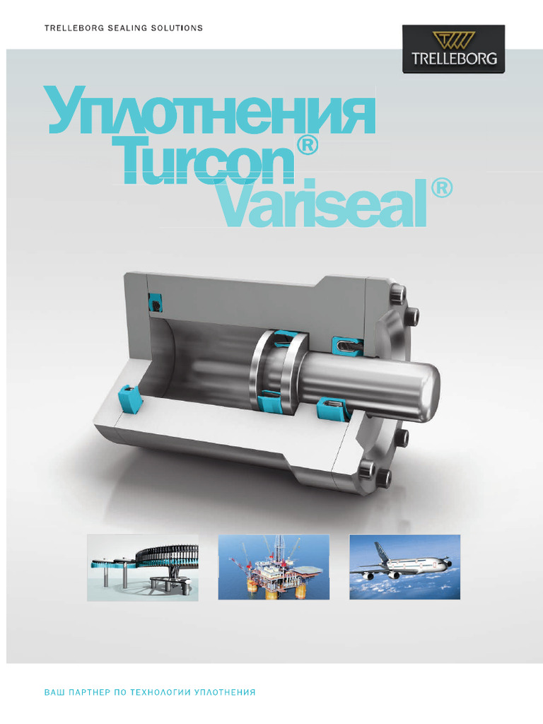 variseal_ru(1) | PDF