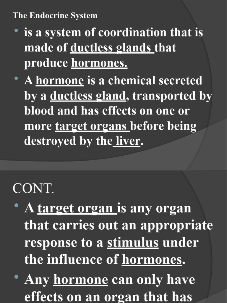 Overview of the Endocrine System | PDF | Endocrine System | Luteinizing ...