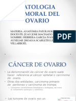 DIAPOS PATOLOGIA TUMORAL DEL OVARIO Off