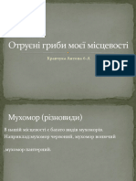 Отруєні гриби моєї місцевості